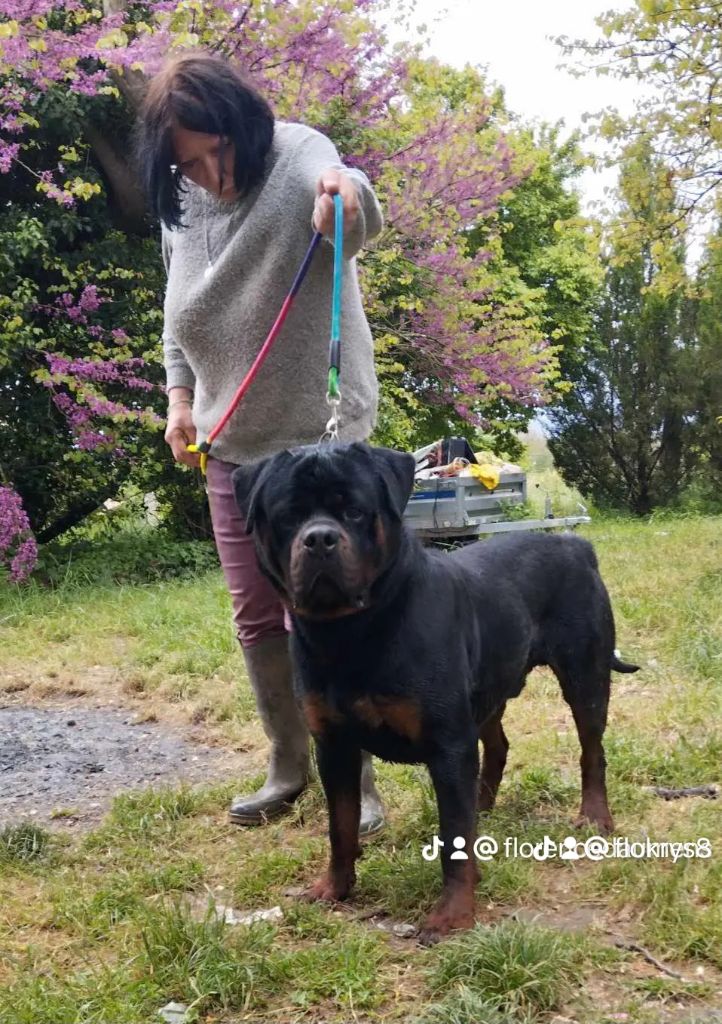 Tinos Des anges noirs et feux