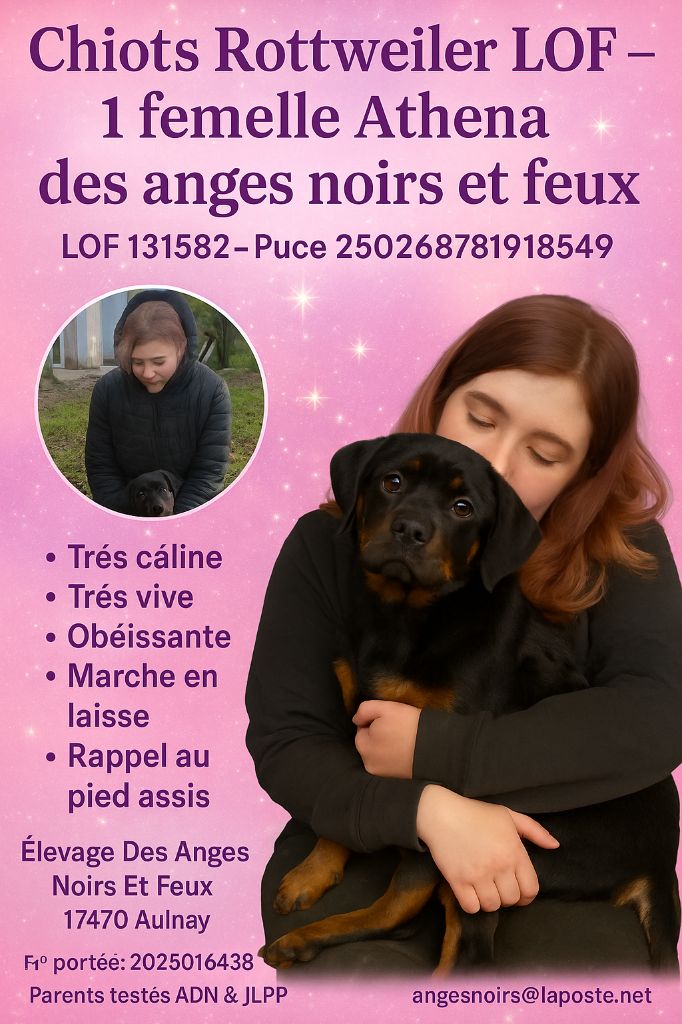 ATHENA disponible de suite 