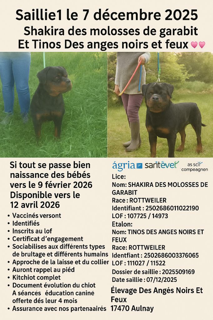 Portées Année 2026